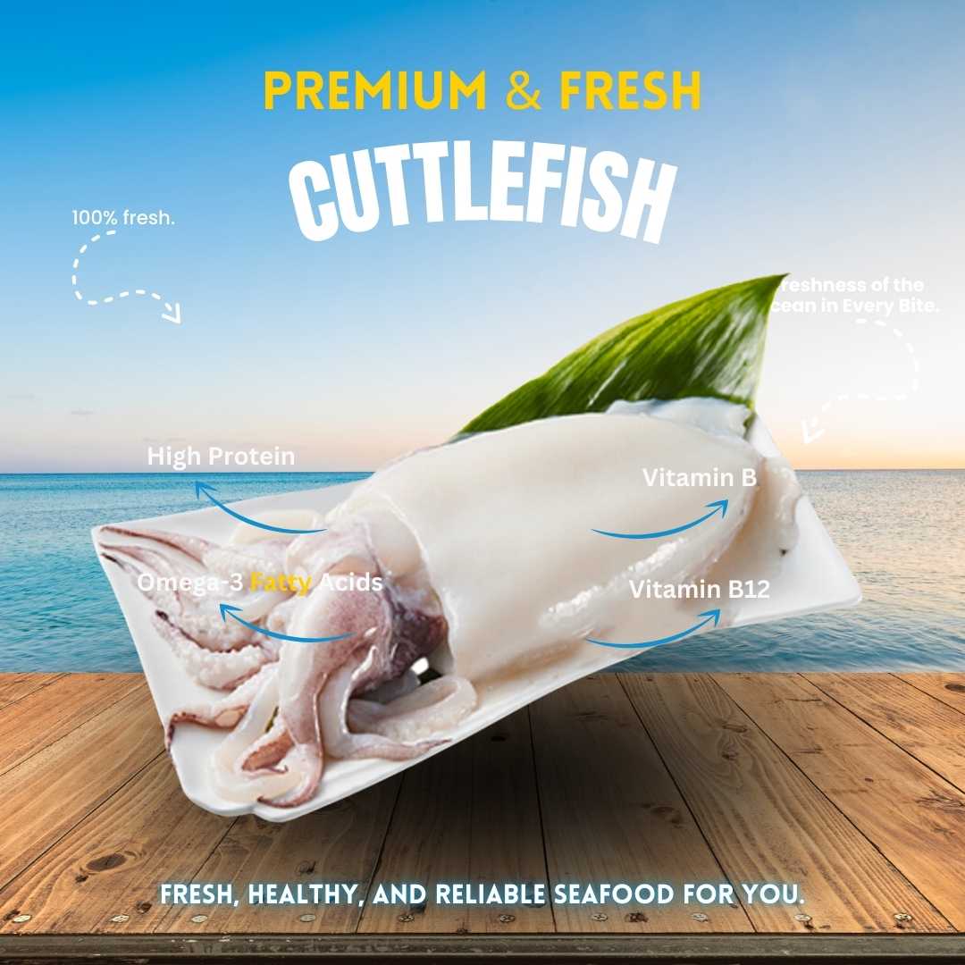 Cuttlefish - কাটল্ফিস (raw)
