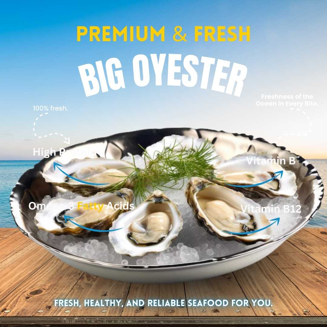 ওয়েস্টার/ Oyster whole