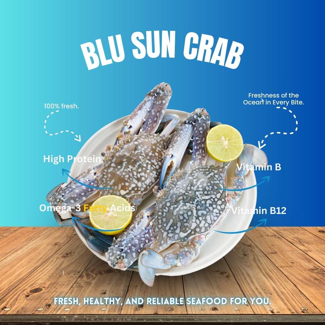 Blue Sun Crab