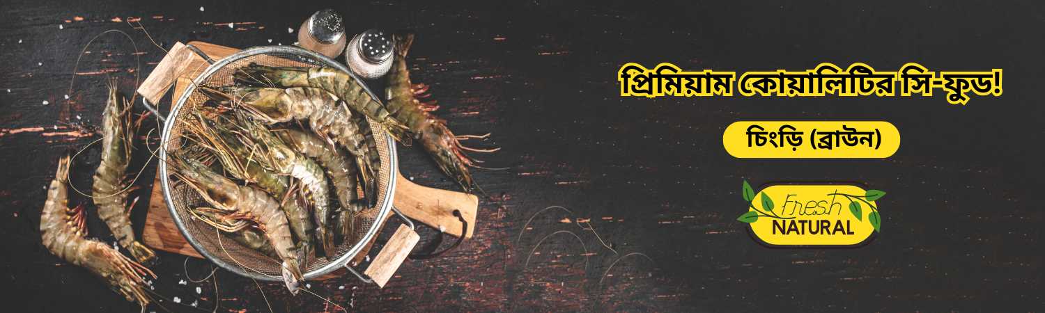 Bengal-Trips Bengal-Trips