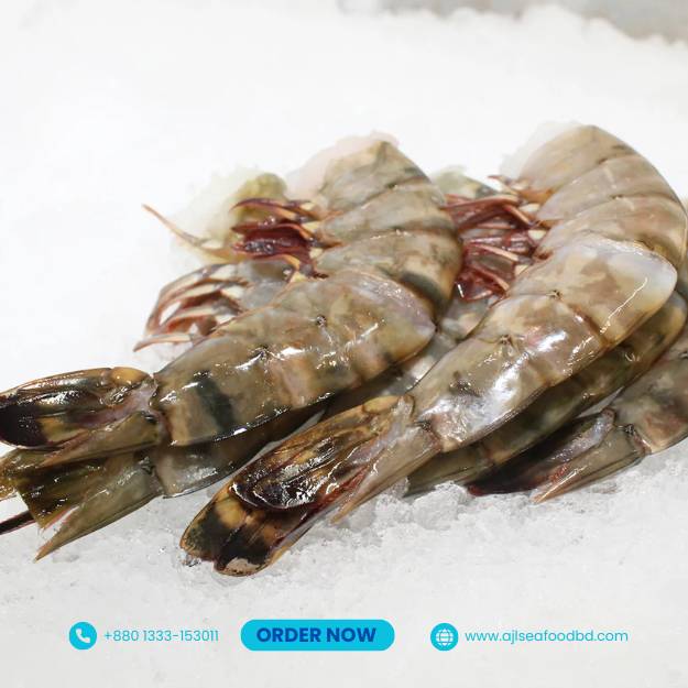 TIGER SHRIMP BIG SIZE HEAD OFF