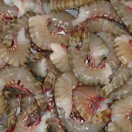 Shrimp Brown (মাথা ছাড়া)