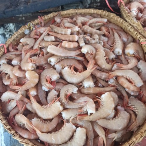 Shrimp Brown (মাথা ছাড়া) - চিংড়ি (ব্রাউন)